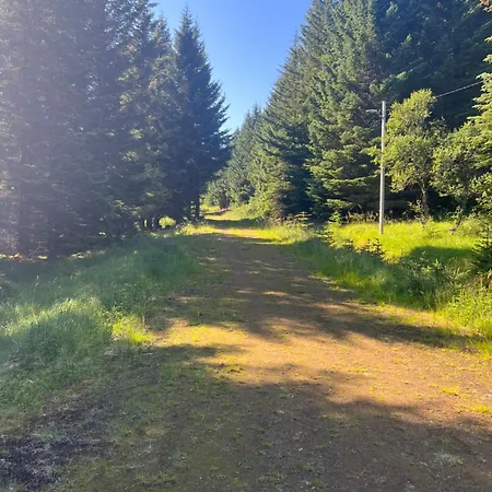 Waterfront Mountain View Lofoten Liland
