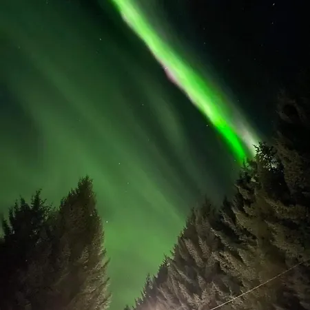 Waterfront Mountain View Lofoten * Liland