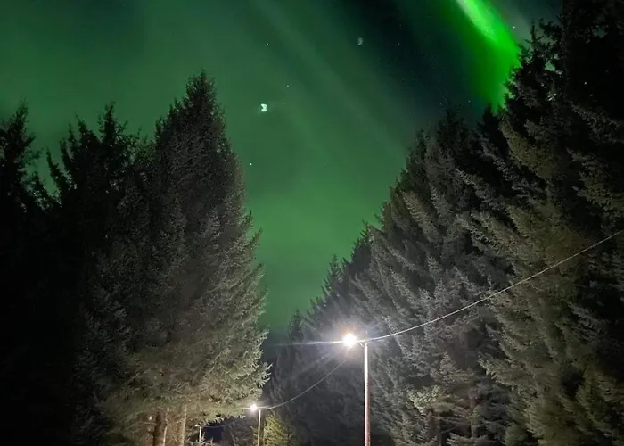 Σπίτι διακοπών Waterfront Mountain View Lofoten *
